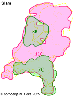 in heel Nederland op kanaal 11C
in Noord-Brabant en Limburg op kanaal 7C
in Noord-Holland en Flevoland op kanaal 8B